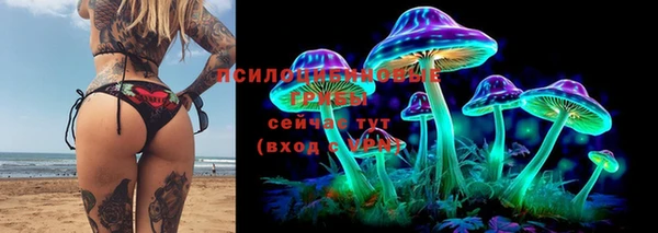 apvp Балабаново
