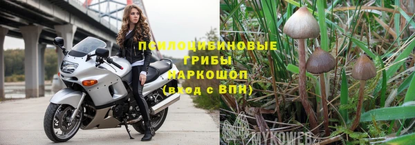 apvp Балабаново
